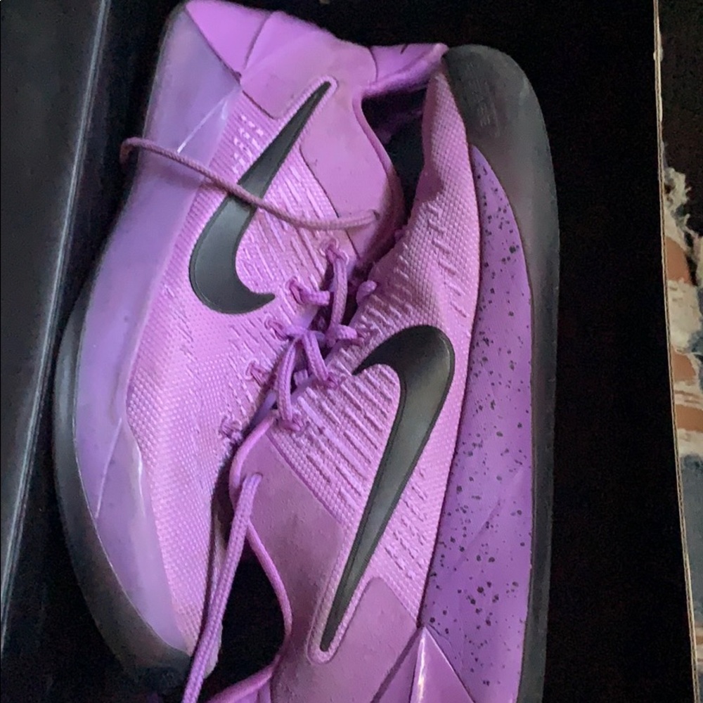 Purple Kobe a.d